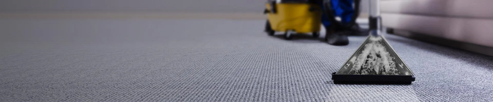 NIECH NASTANIE CZYSTOŚĆ!