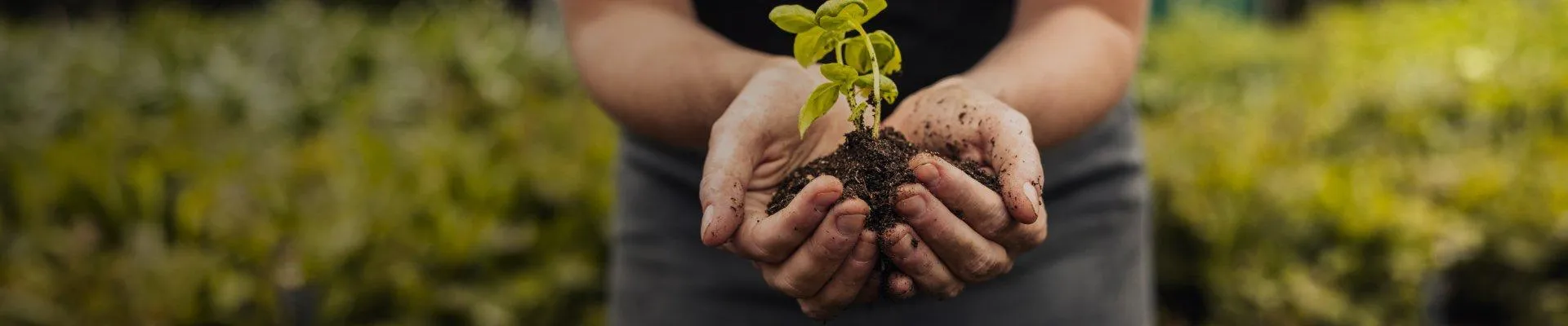 ROLNICTWO PRZYSZŁOŚCI DZISIAJ!