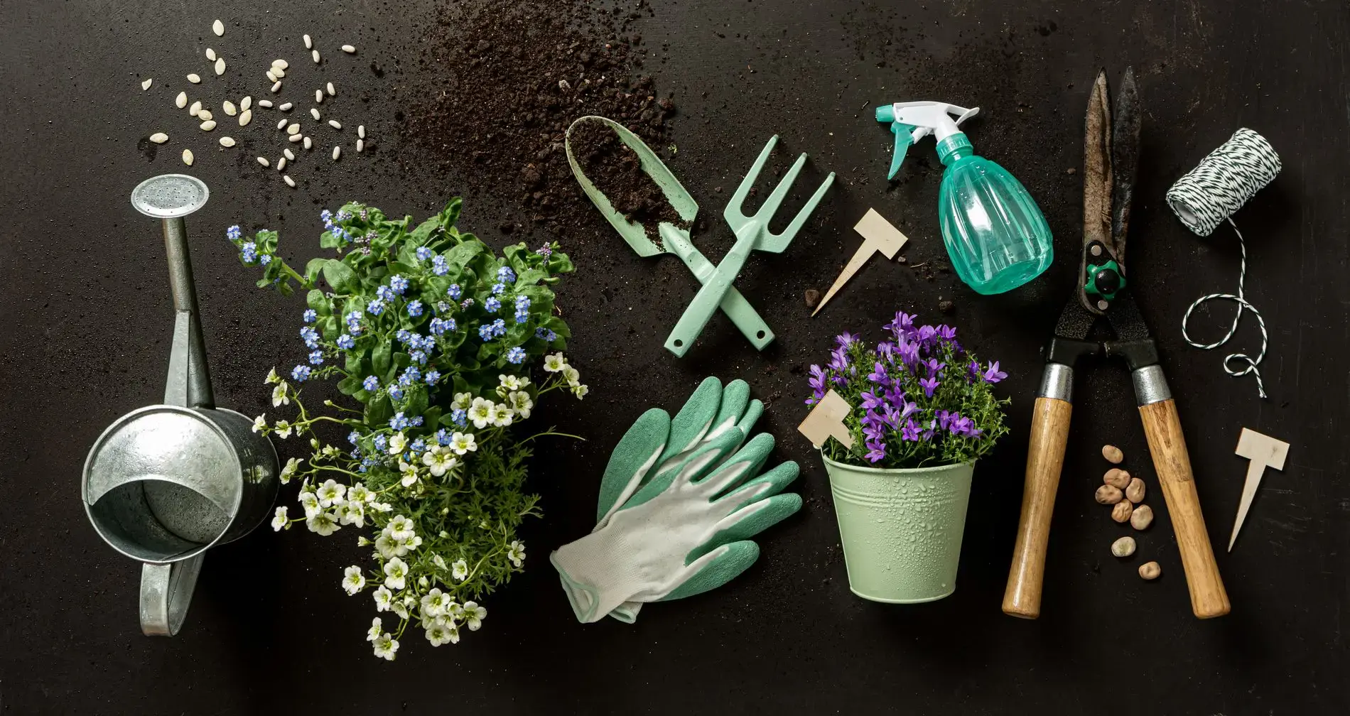 Wszystko, co musisz mieć, aby ujarzmić swój ogród, sad lub działkę, czyli podstawowe narzędzia ogrodnicze 