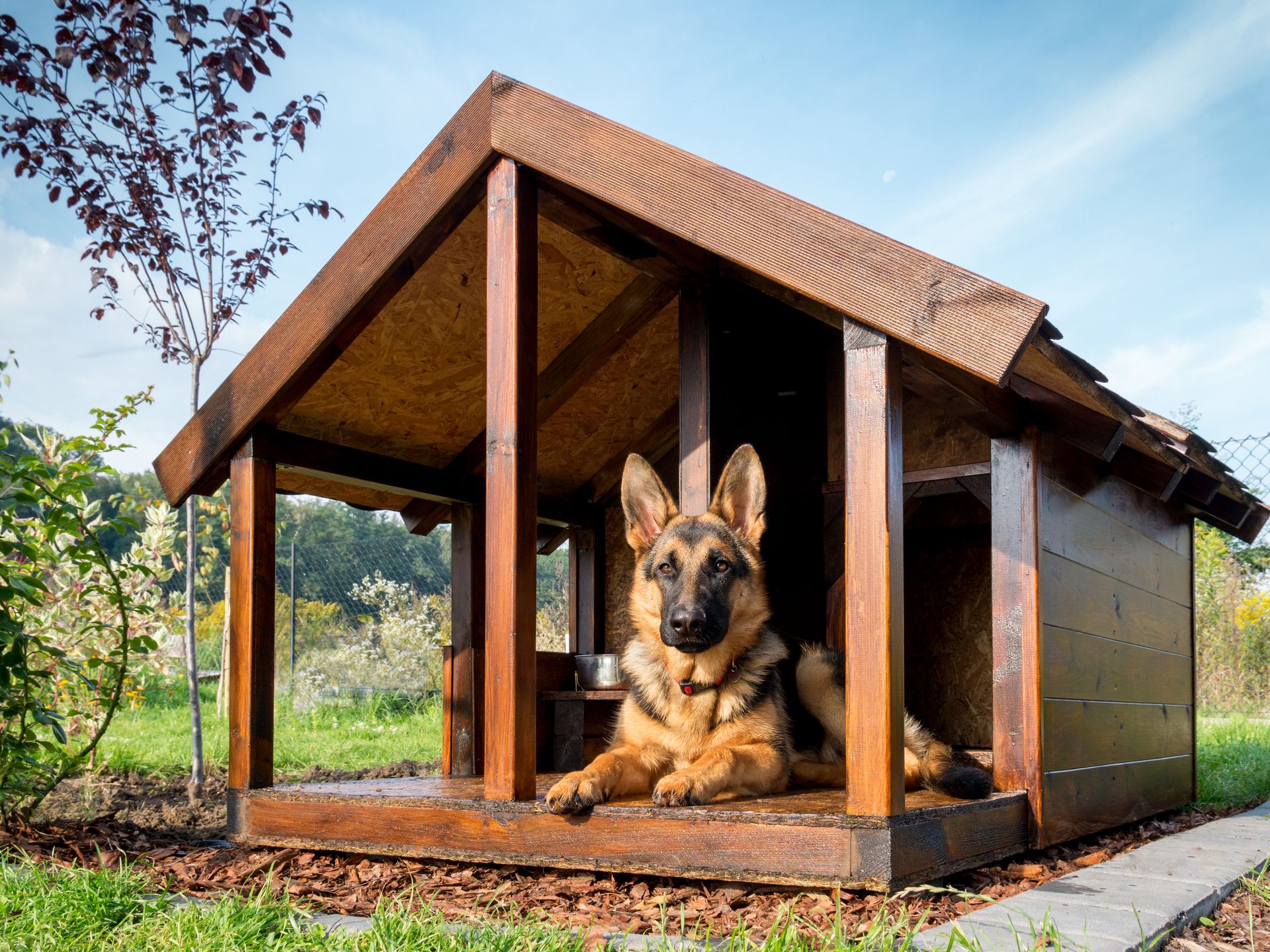 wie man eine Hundehütte baut