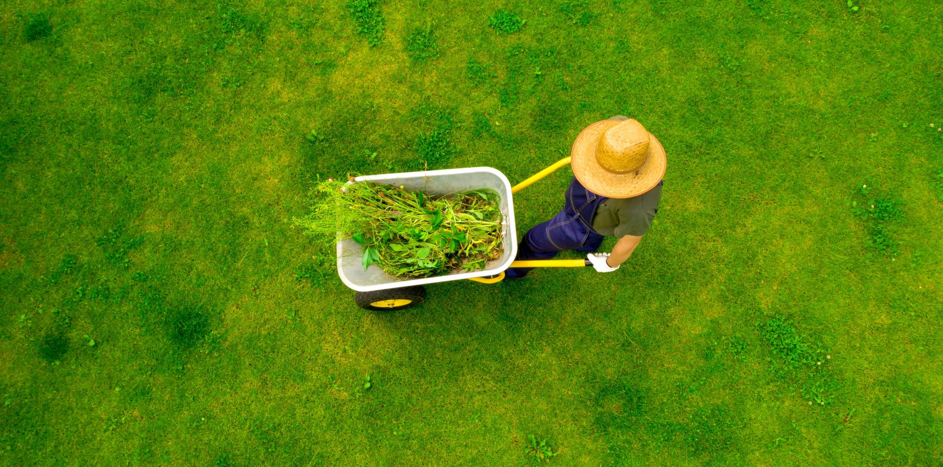 Wohin mit dem gemähten Gras