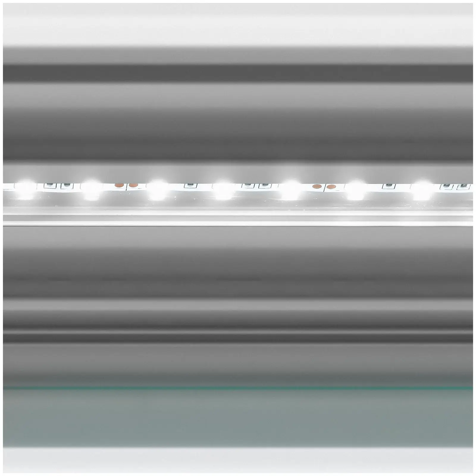Witryna do lodów - 540 l - LED - 4 kółka - jasnozielona, srebrna