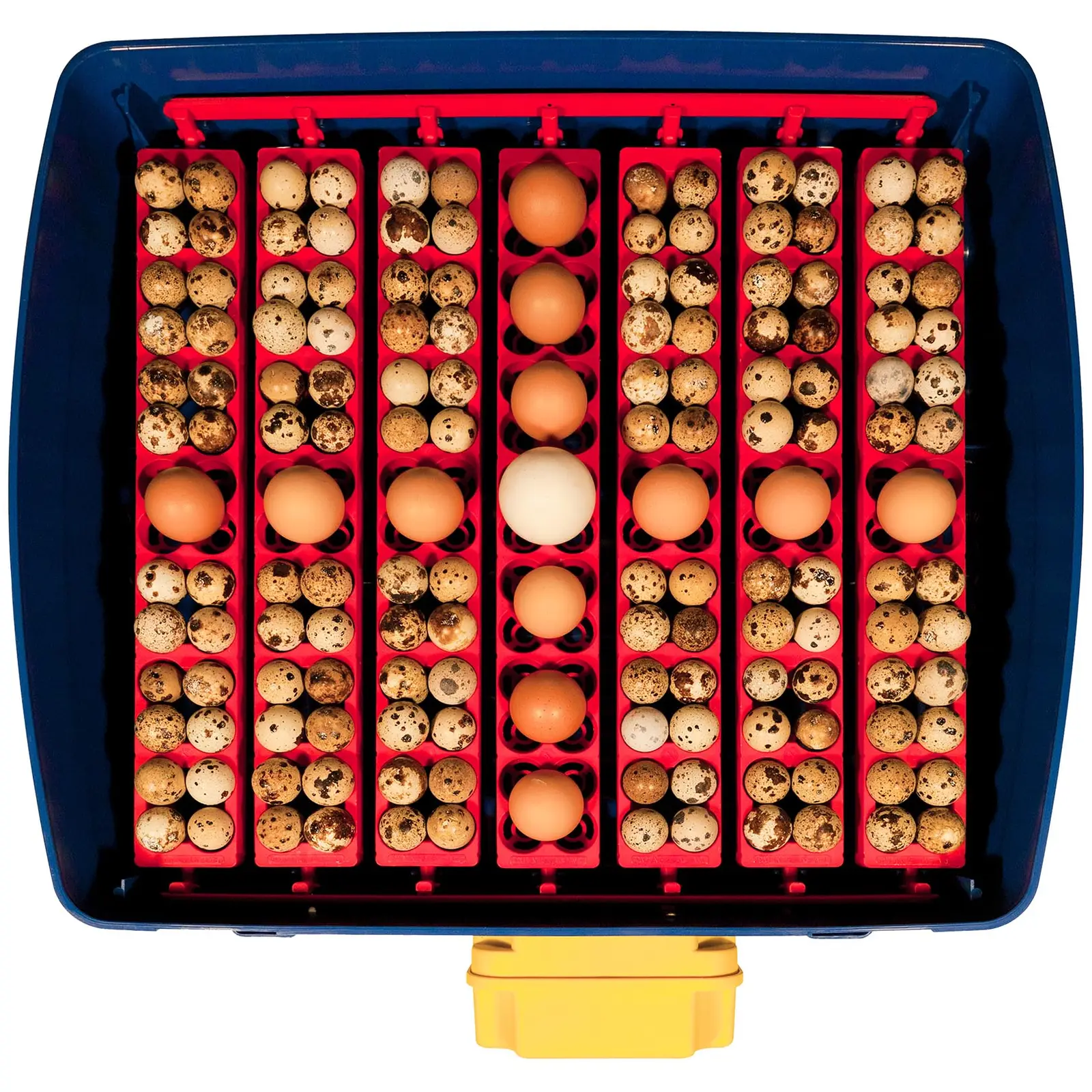 Inkubator do jaj - 49 jaj - system nawilżania - automatyczny