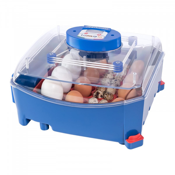Inkubator do jaj - 16 jaj - system nawilżania - automatyczny