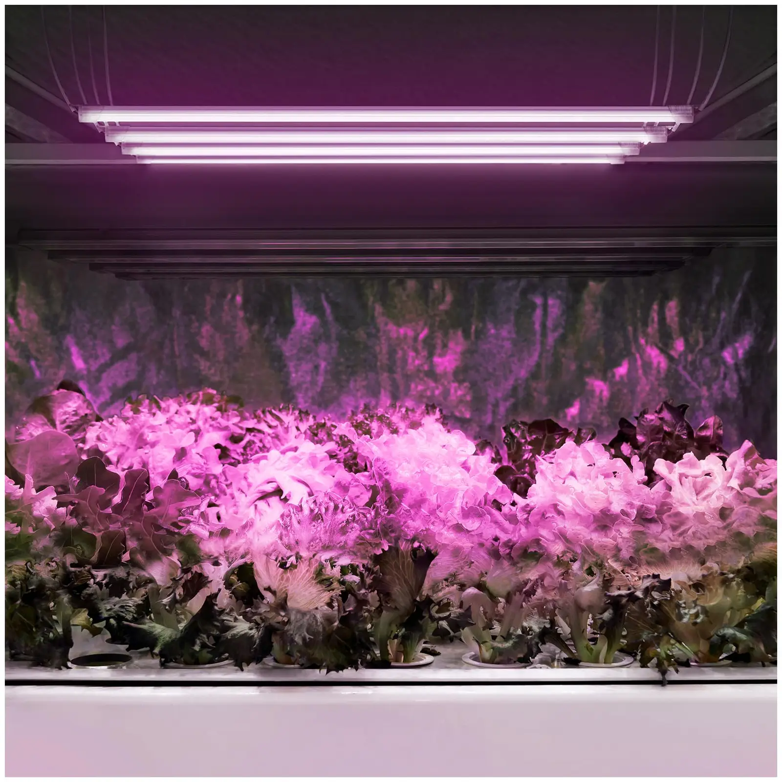 Lampy LED do roślin - czerwony i niebieski - 20 W - 120 LED - 4 sztuki
