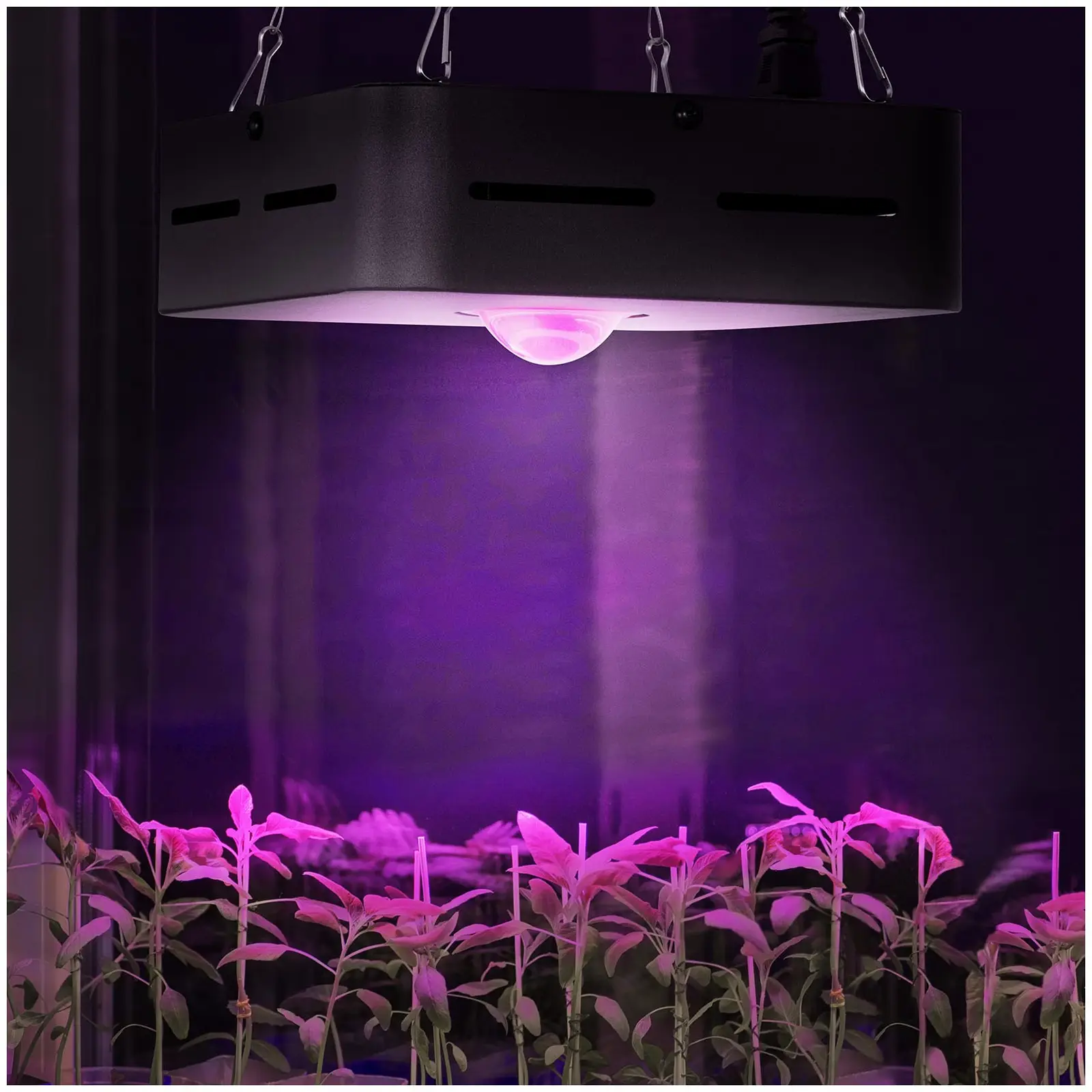 Lampa LED do roślin - pełne spektrum - 50 W - 1 LED