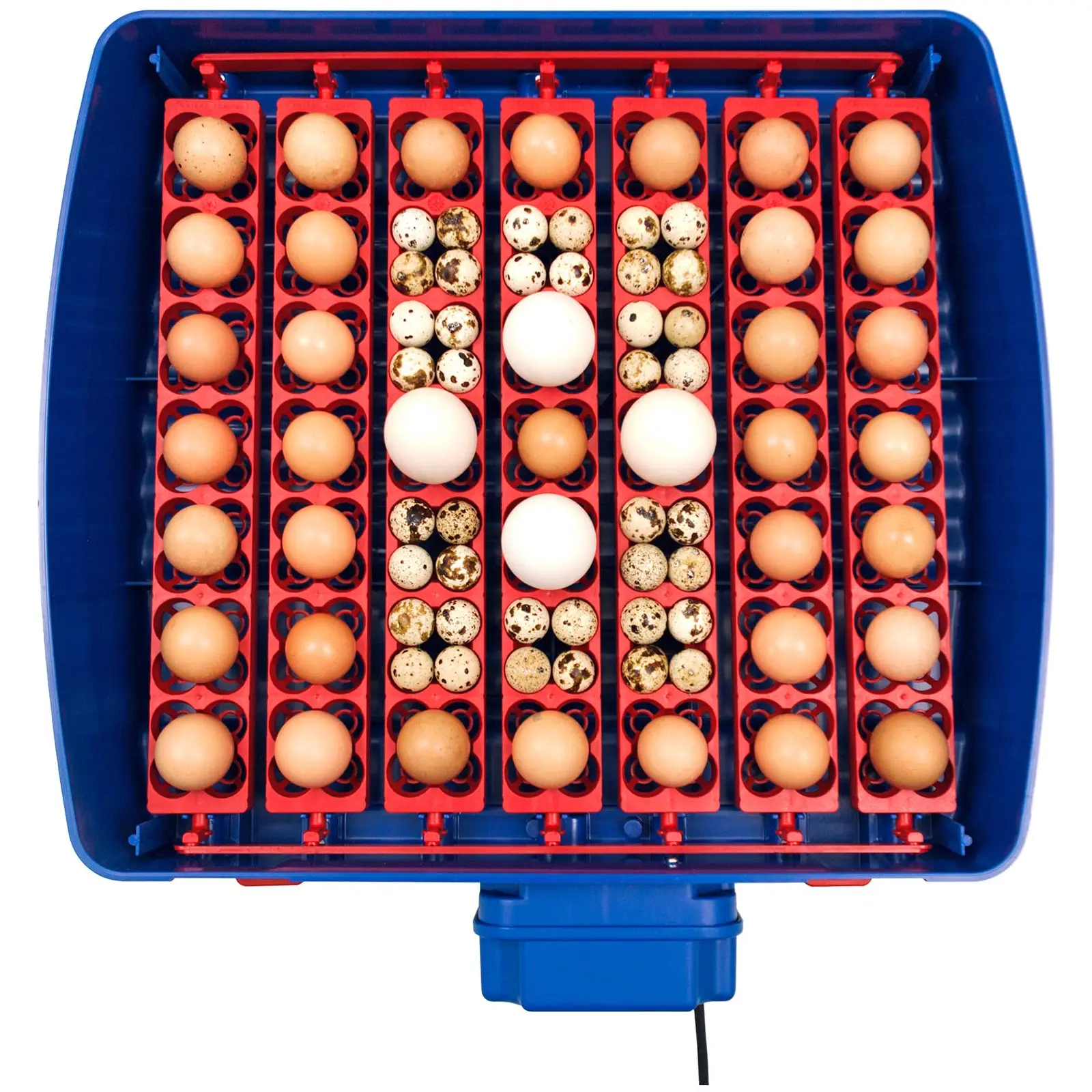 Inkubator do jaj - 49 jaj - automatyczny - ochrona antybakteryjna